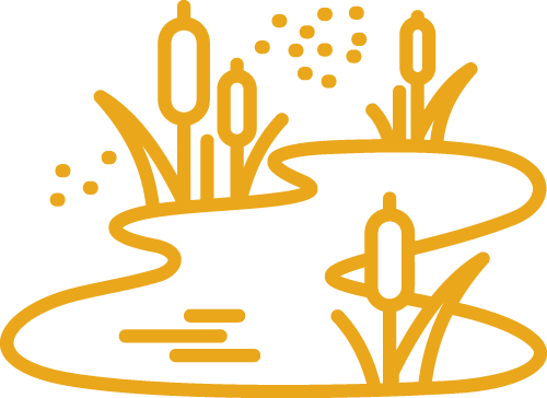 pond icon